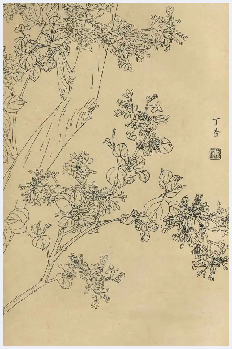 百花图谱大全【白描画】 | 书画资料