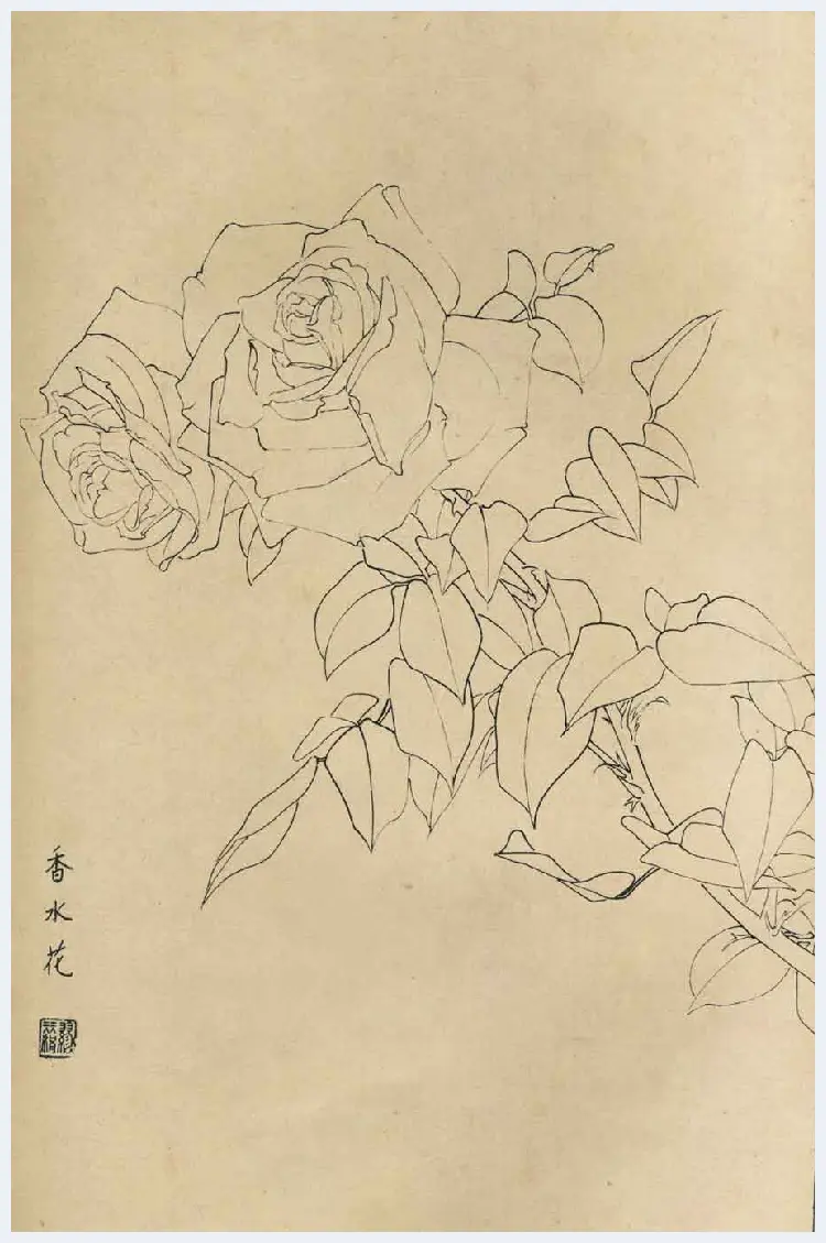 百花图谱大全【白描画】 | 书画资料