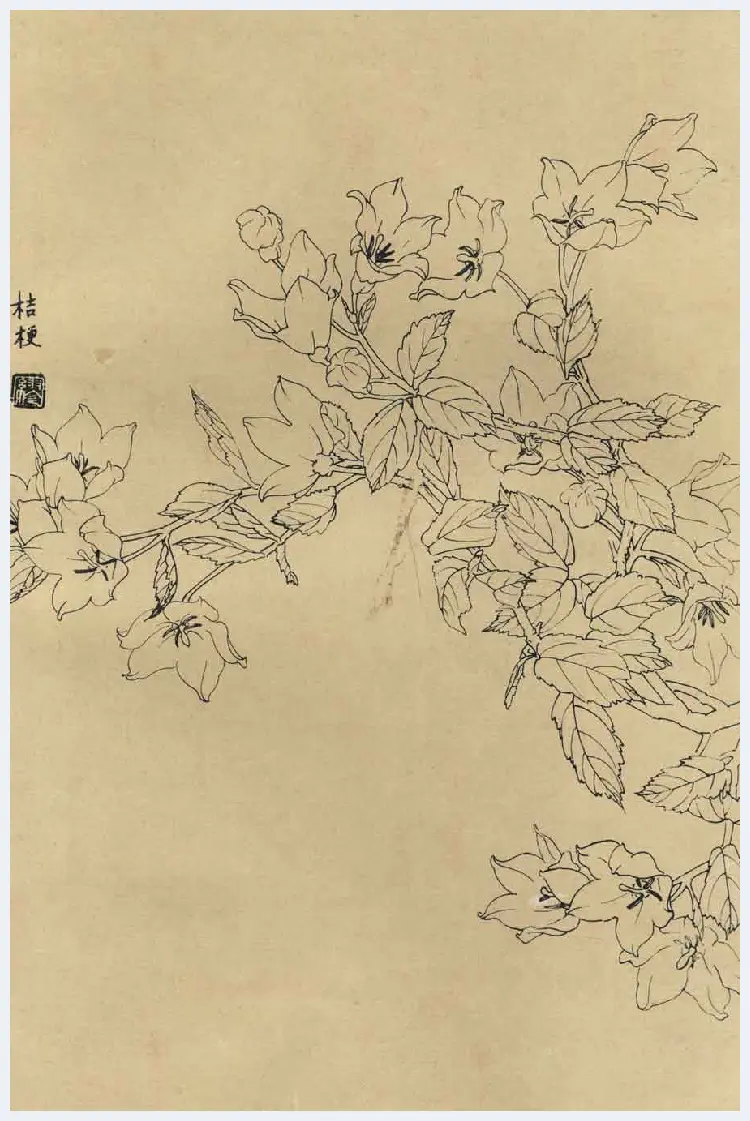 百花图谱大全【白描画】 | 书画资料