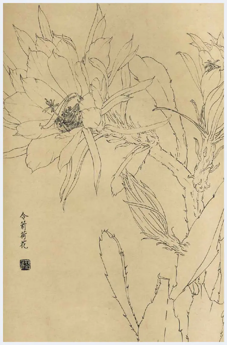 百花图谱大全【白描画】 | 书画资料