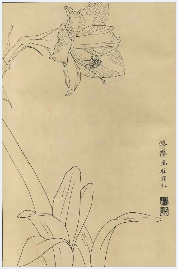 百花图谱大全【白描画】 | 书画资料