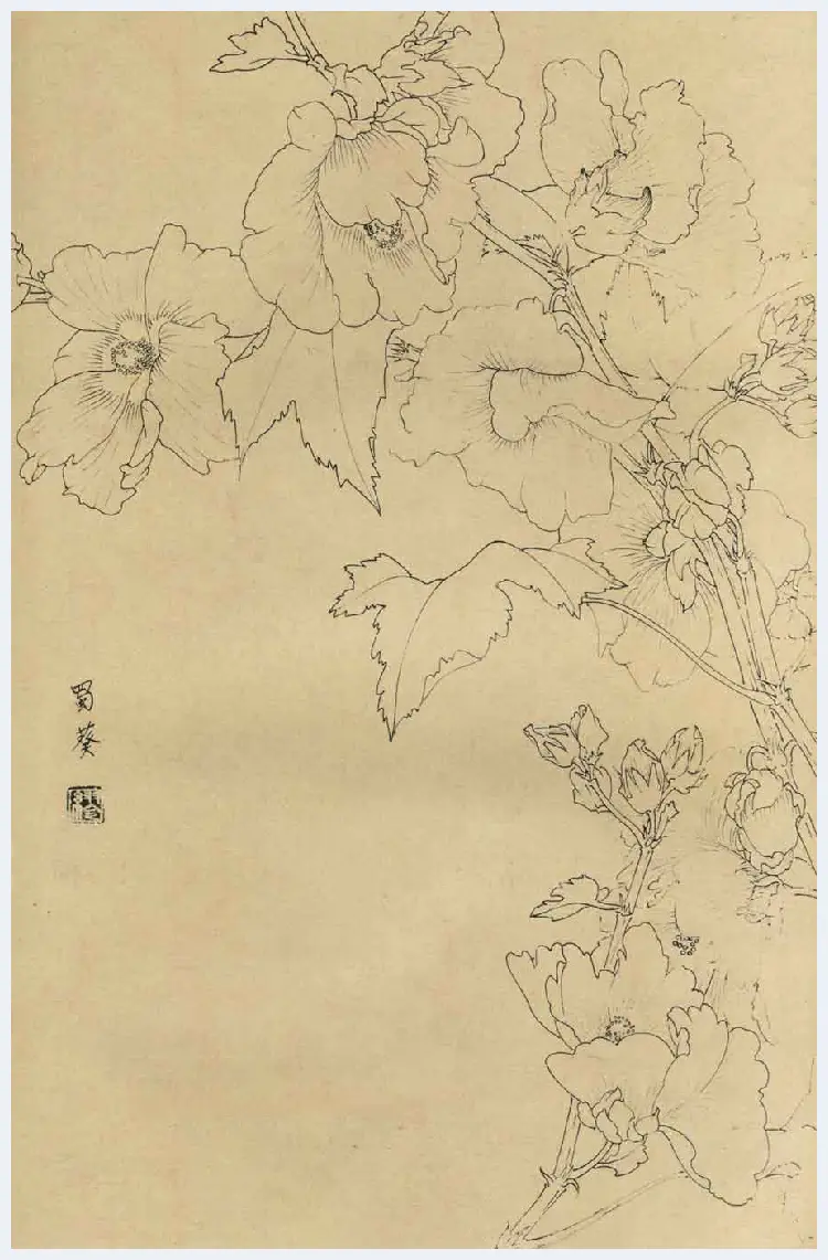 百花图谱大全【白描画】 | 书画资料