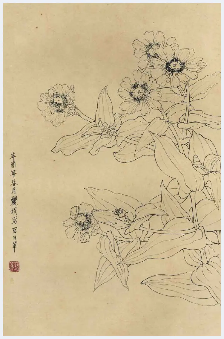 百花图谱大全【白描画】 | 书画资料