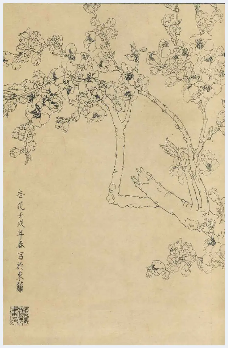 百花图谱大全【白描画】 | 书画资料