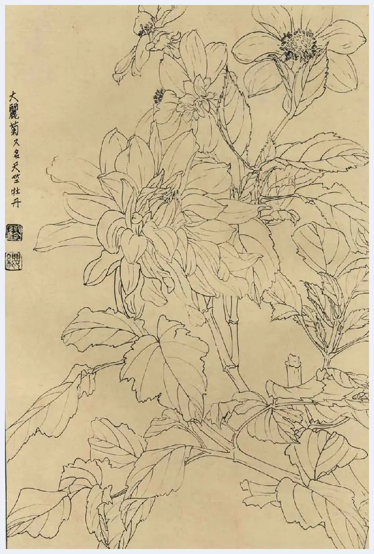 百花图谱大全【白描画】 | 书画资料