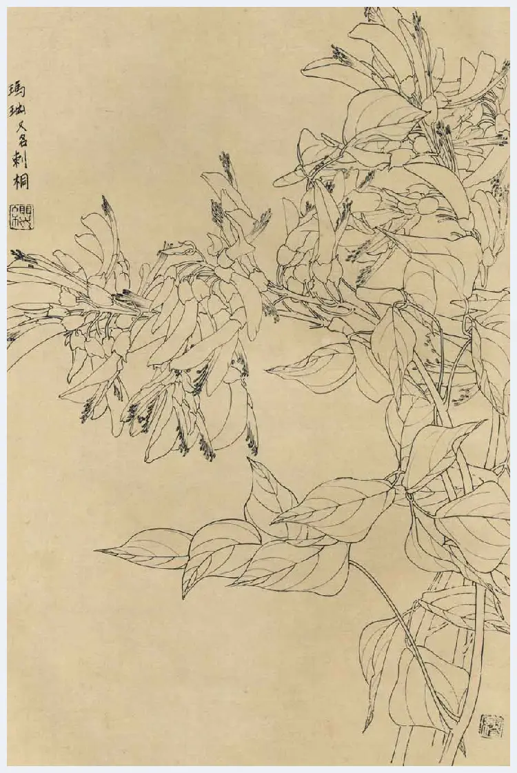 百花图谱大全【白描画】 | 书画资料