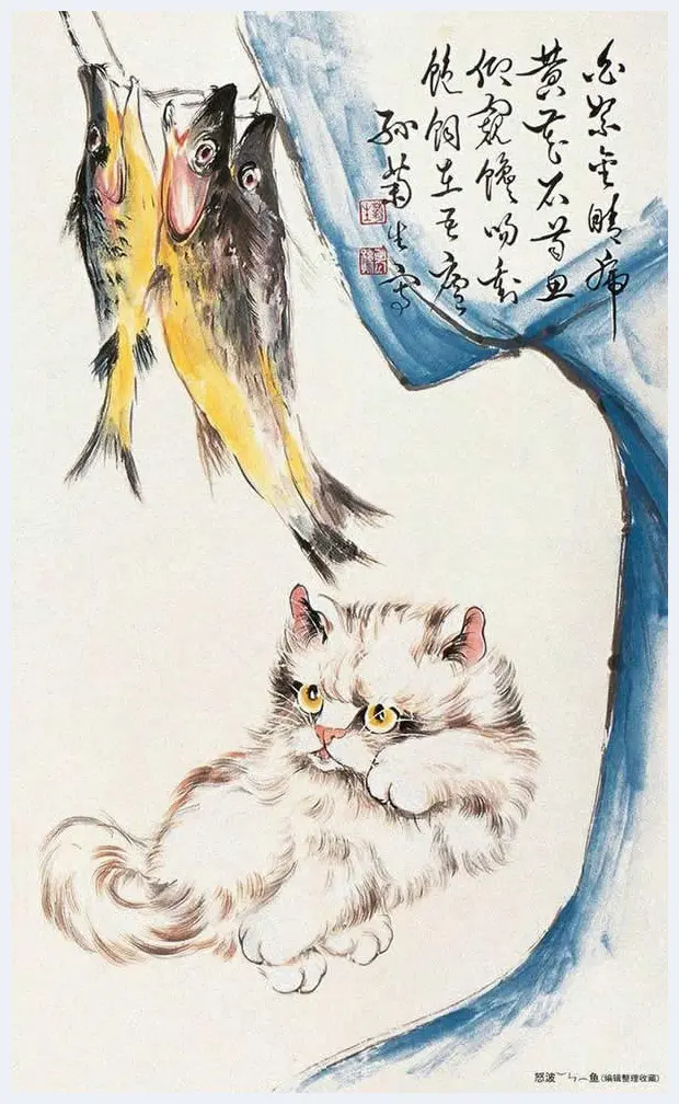 物理老师业余画猫，人称猫王！ | 书画学堂