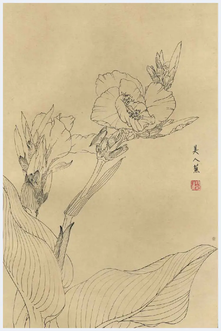 百花图谱大全【白描画】 | 书画资料