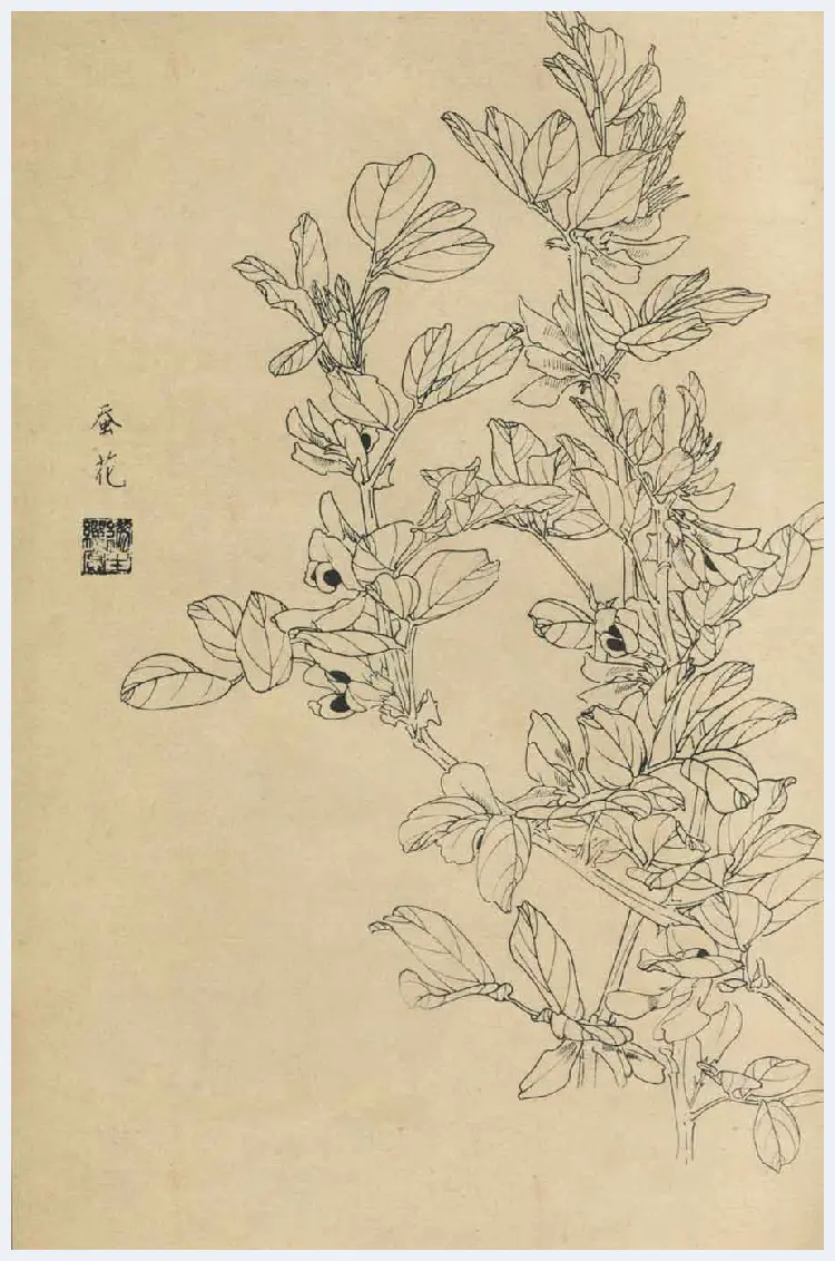 百花图谱大全【白描画】 | 书画资料