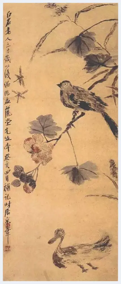 谢稚柳等名家笔下芙蓉花开 | 书画文摘