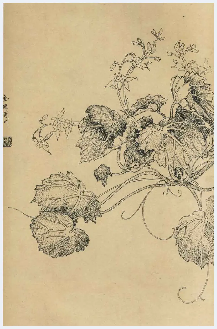 百花图谱大全【白描画】 | 书画资料