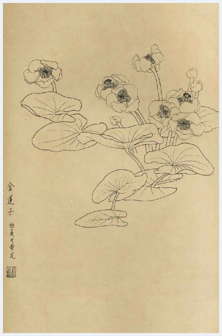 百花图谱大全【白描画】 | 书画资料