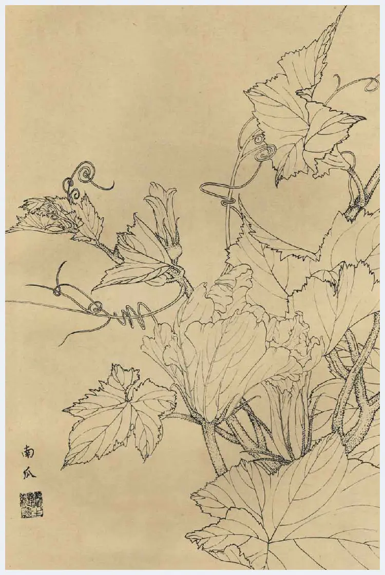 百花图谱大全【白描画】 | 书画资料