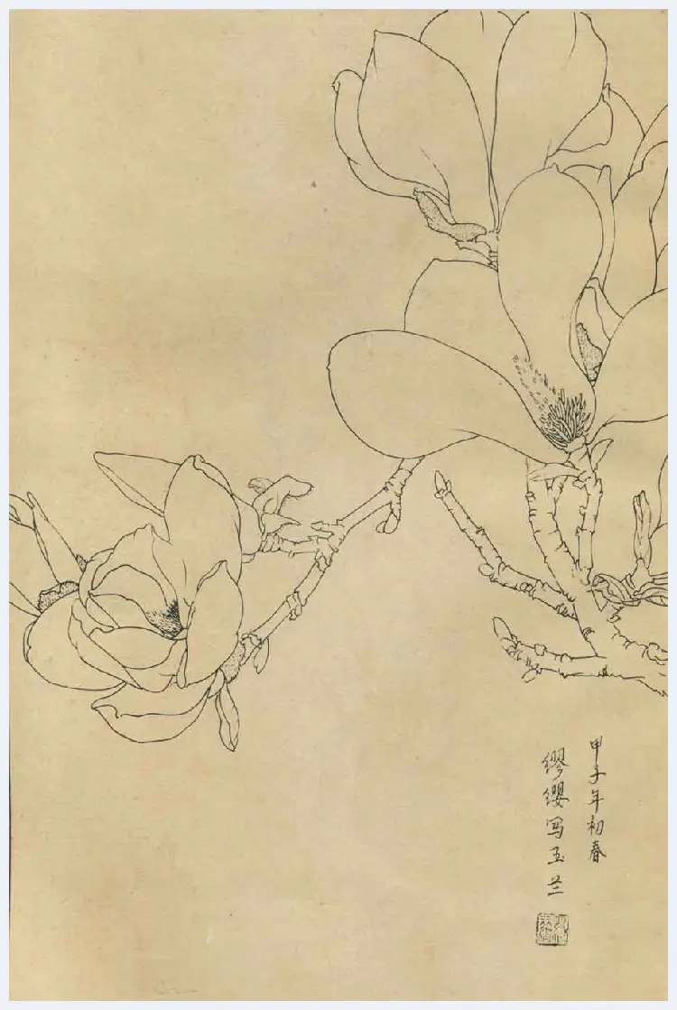 百花图谱大全【白描画】 | 书画资料