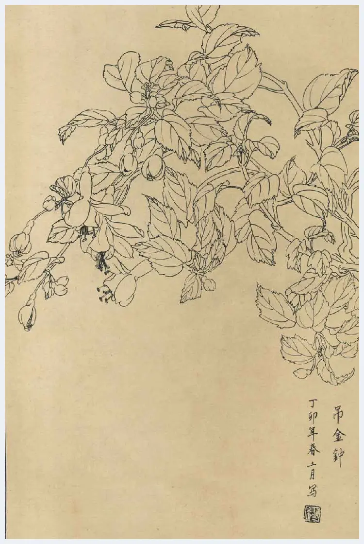 百花图谱大全【白描画】 | 书画资料