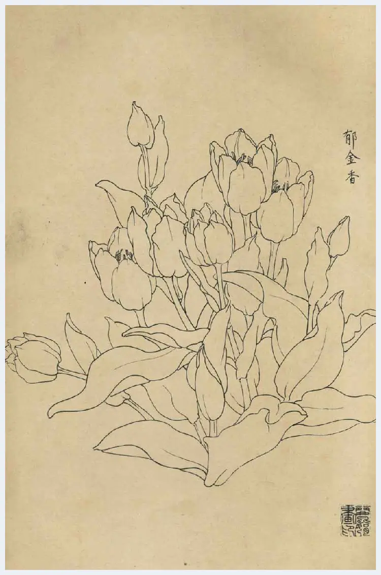 百花图谱大全【白描画】 | 书画资料