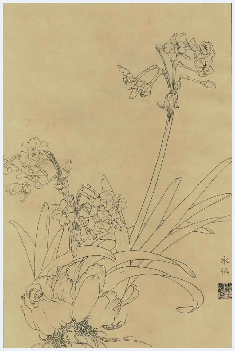 百花图谱大全【白描画】 | 书画资料