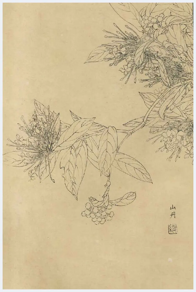 百花图谱大全【白描画】 | 书画资料