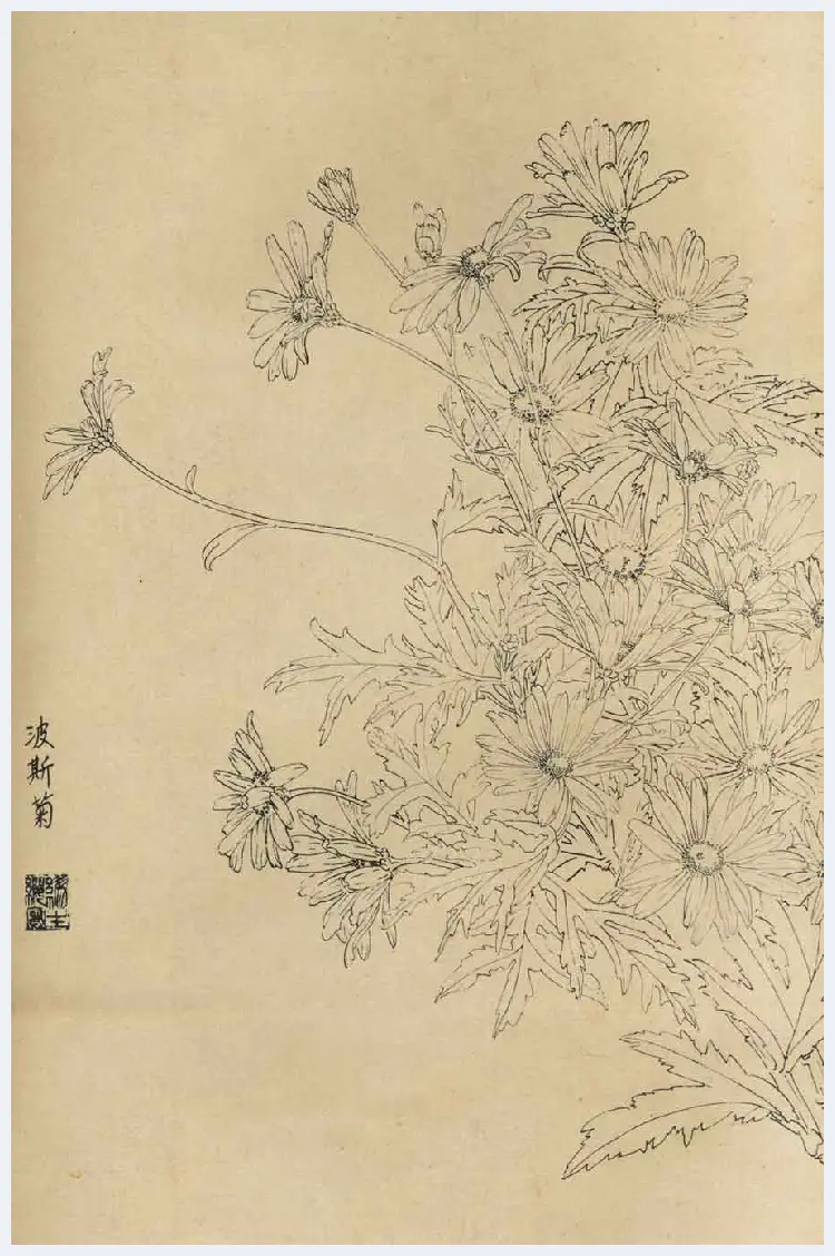 百花图谱大全【白描画】 | 书画资料