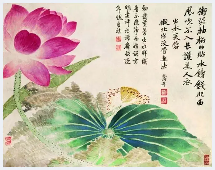 古代经典花鸟名画欣赏 | 书画常识