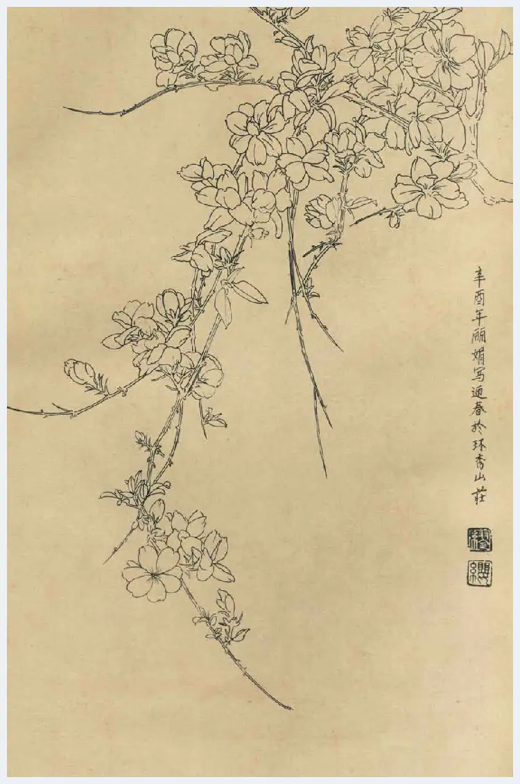 百花图谱大全【白描画】 | 书画资料