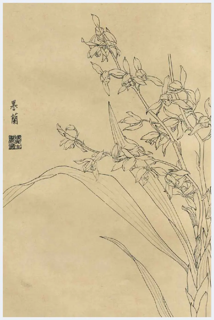 百花图谱大全【白描画】 | 书画资料