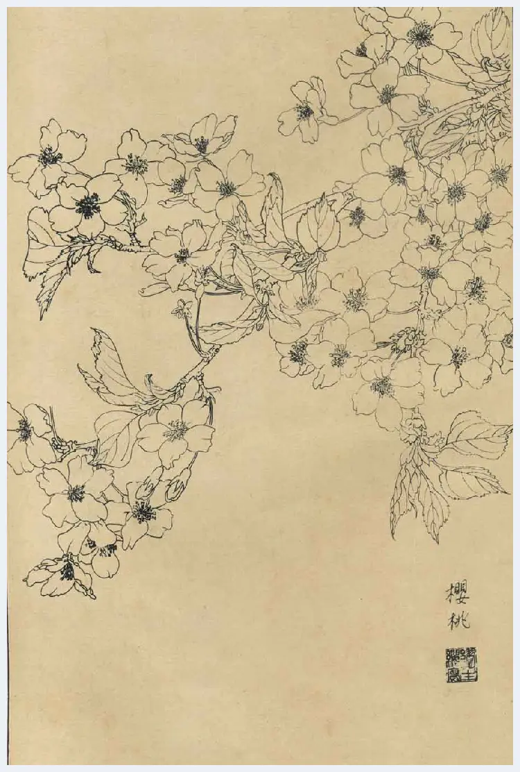 百花图谱大全【白描画】 | 书画资料