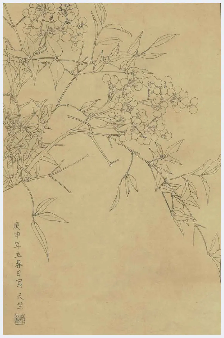 百花图谱大全【白描画】 | 书画资料