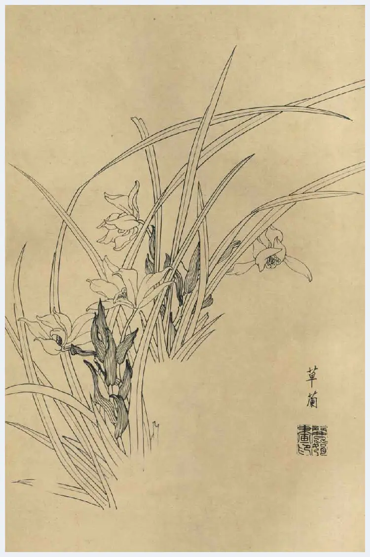 百花图谱大全【白描画】 | 书画资料