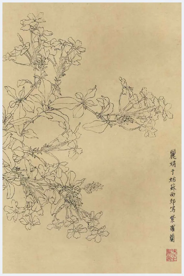 百花图谱大全【白描画】 | 书画资料