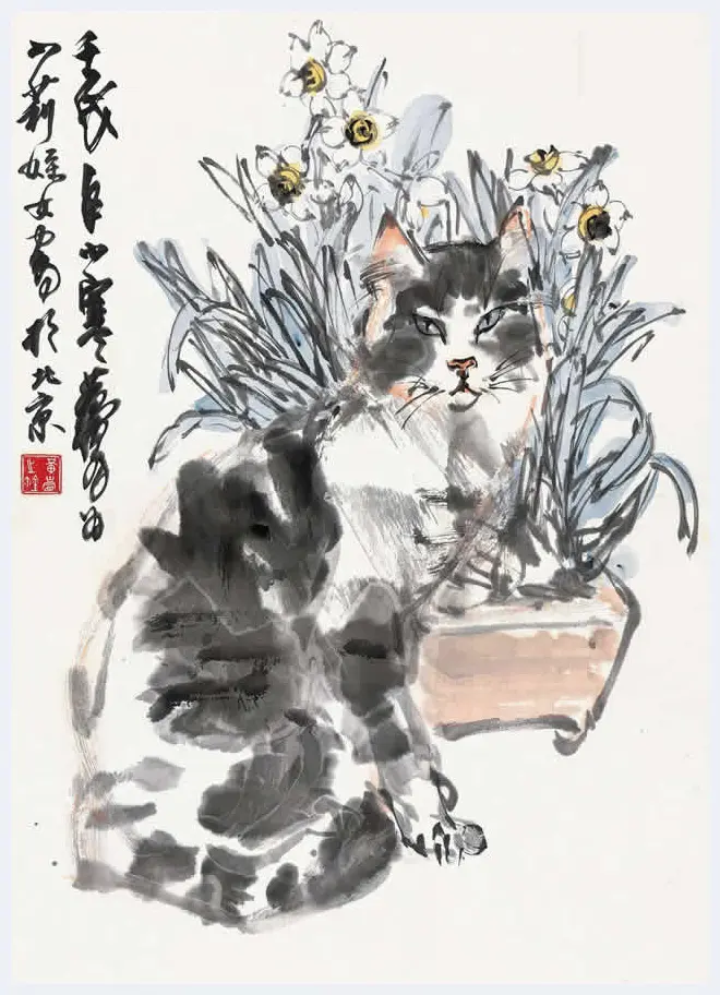 黄胄笔下的猫猫狗狗 | 书画资料