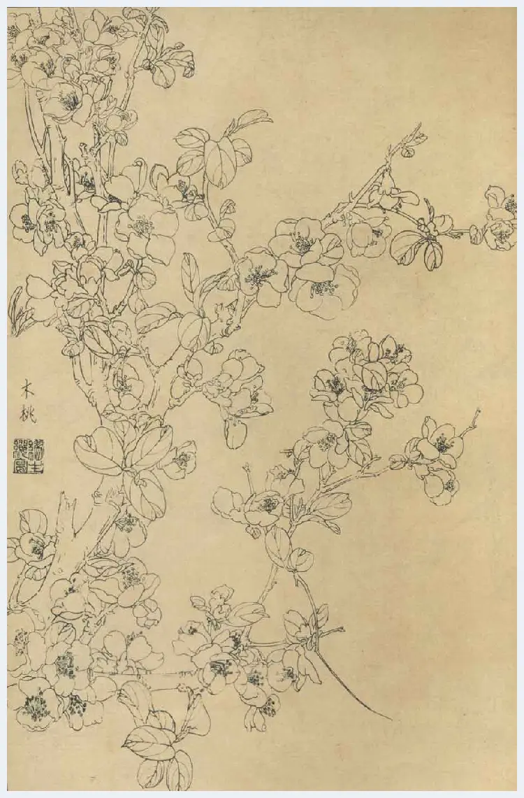 百花图谱大全【白描画】 | 书画资料