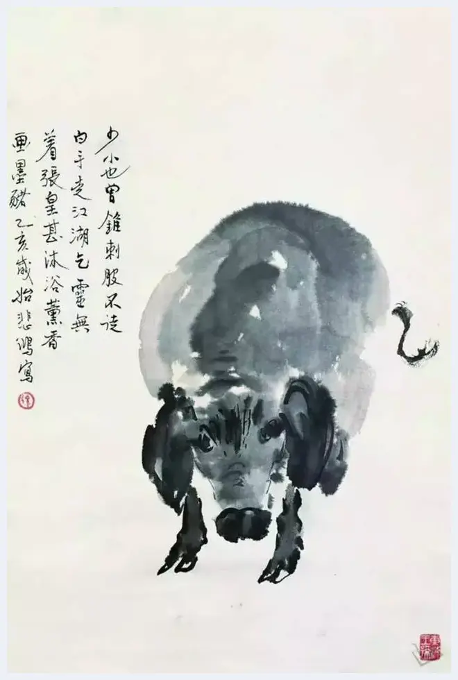 徐悲鸿画猪，难得一见 | 书画百科