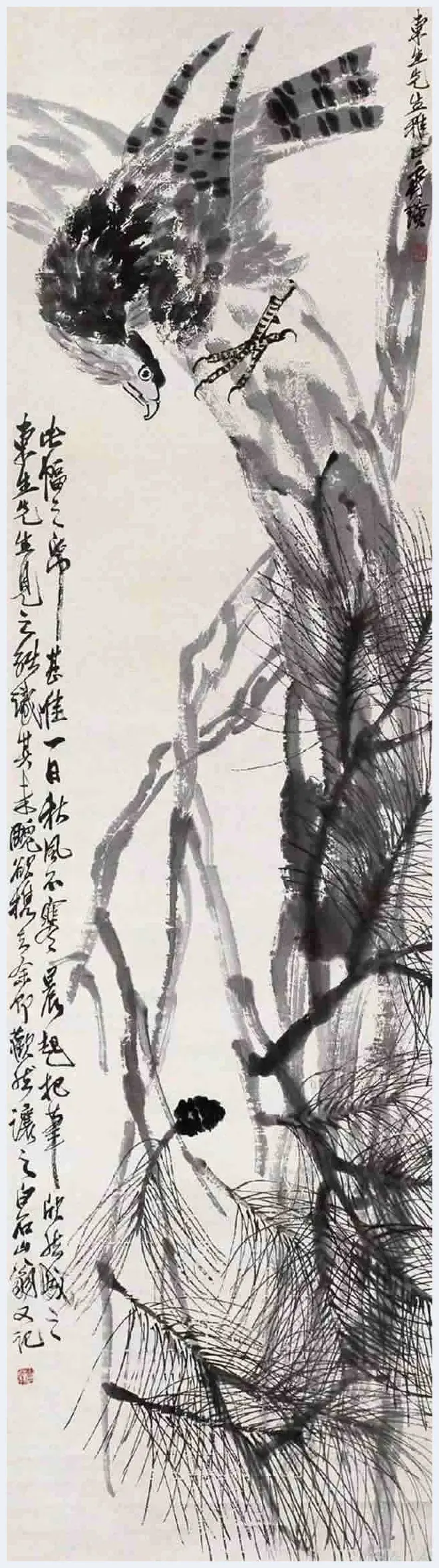 齐白石、李苦禅师徒二人画鹰，各有千秋！ | 书画科普