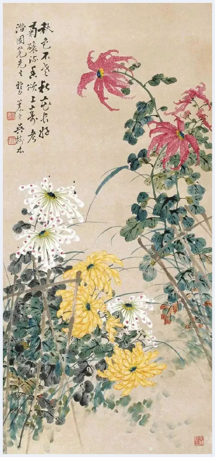 吴笠仙菊花作品欣赏 | 书画科普