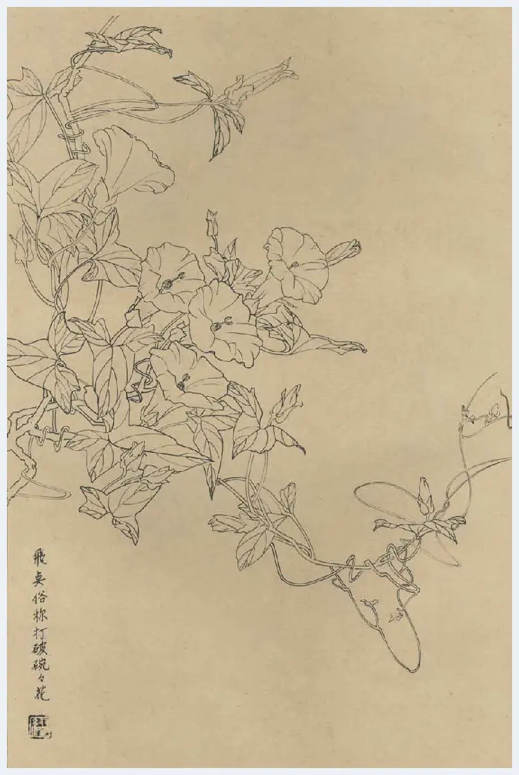 百花图谱大全【白描画】 | 书画资料