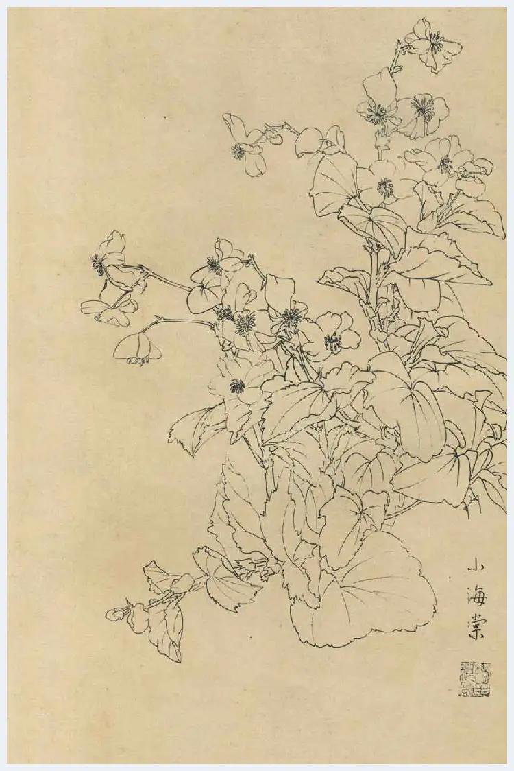 百花图谱大全【白描画】 | 书画资料