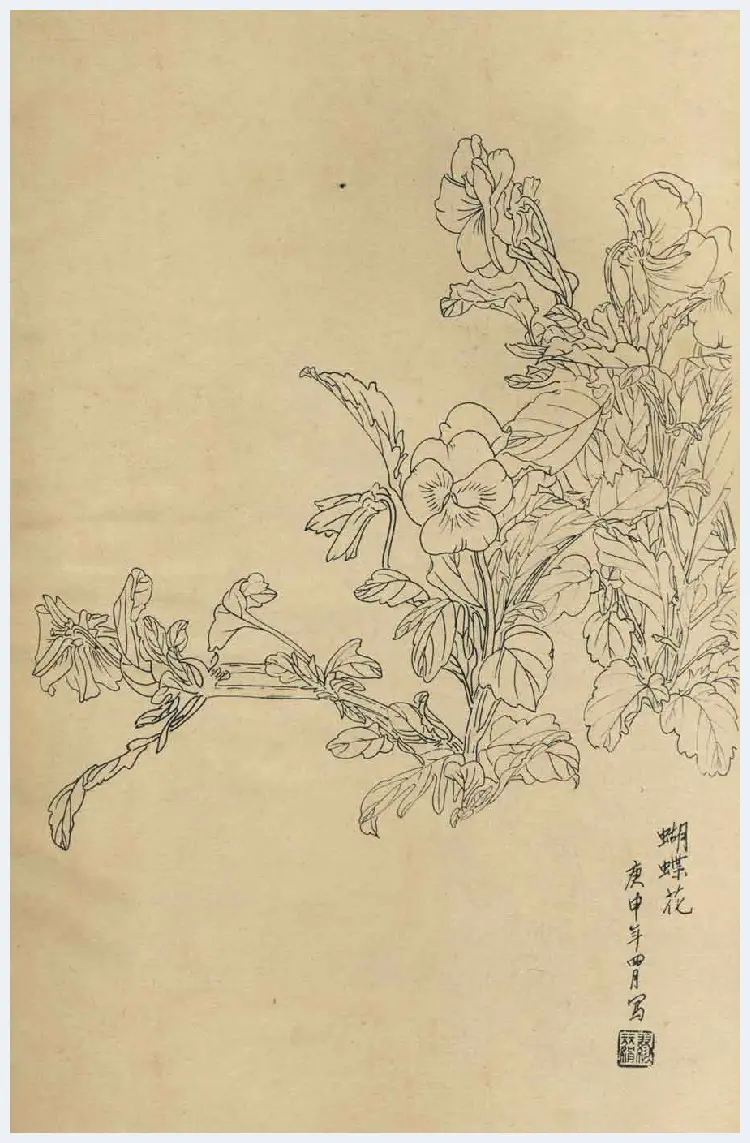 百花图谱大全【白描画】 | 书画资料