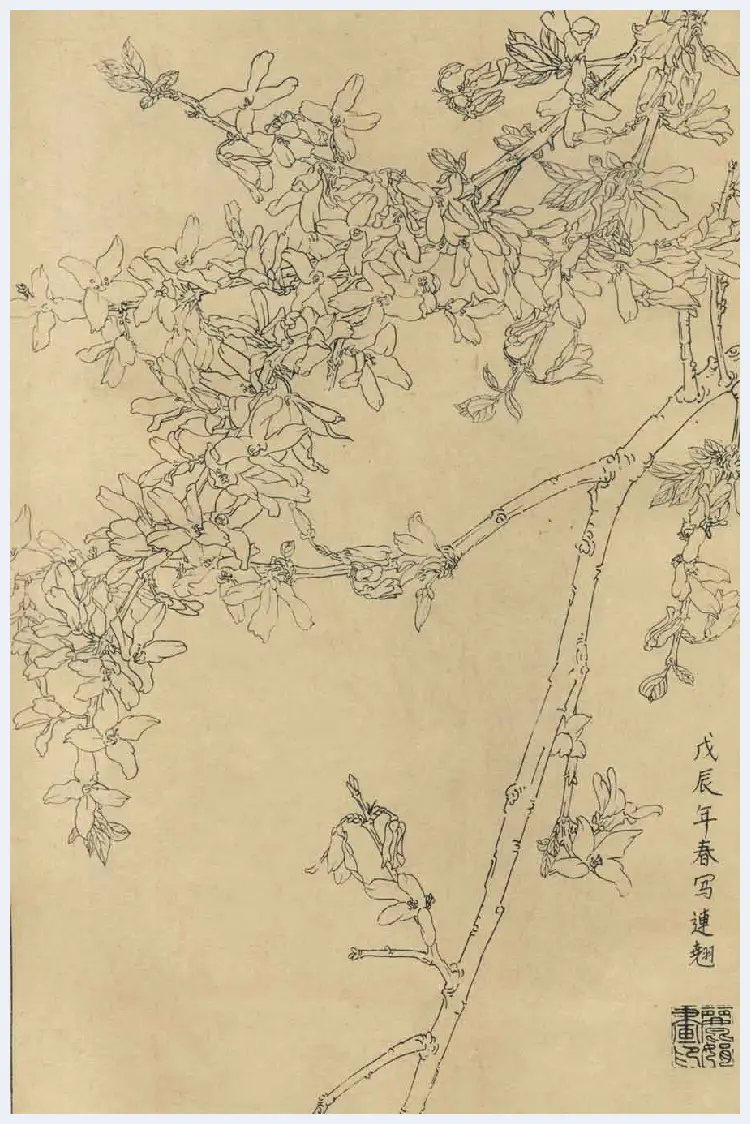 百花图谱大全【白描画】 | 书画资料