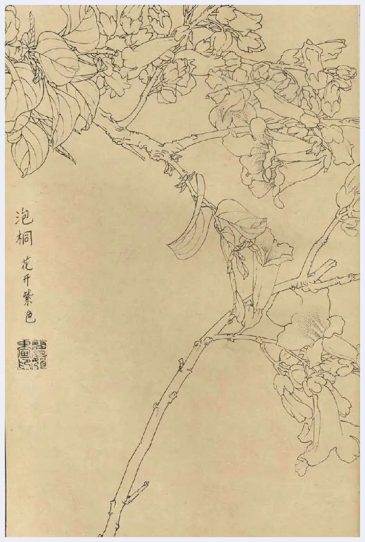 百花图谱大全【白描画】 | 书画资料