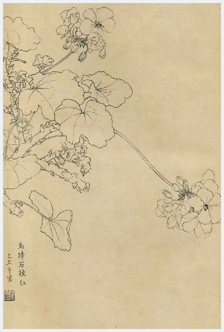 百花图谱大全【白描画】 | 书画资料