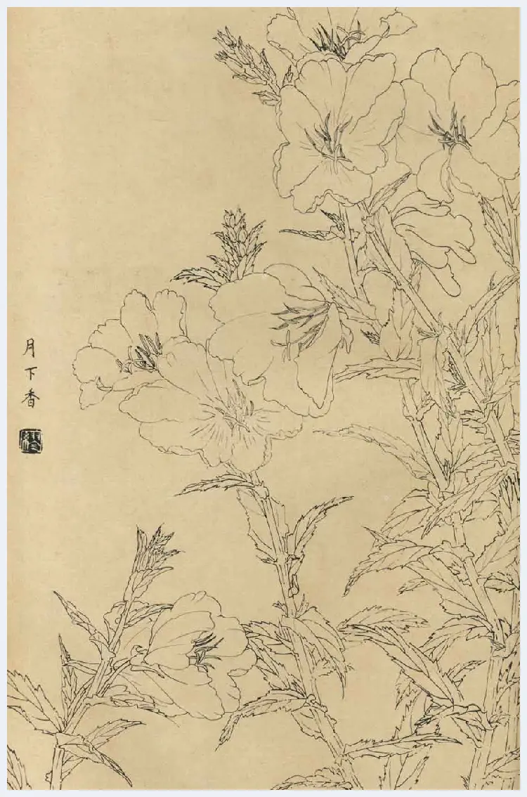 百花图谱大全【白描画】 | 书画资料