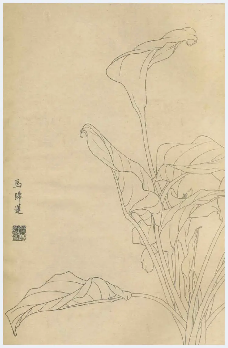 百花图谱大全【白描画】 | 书画资料