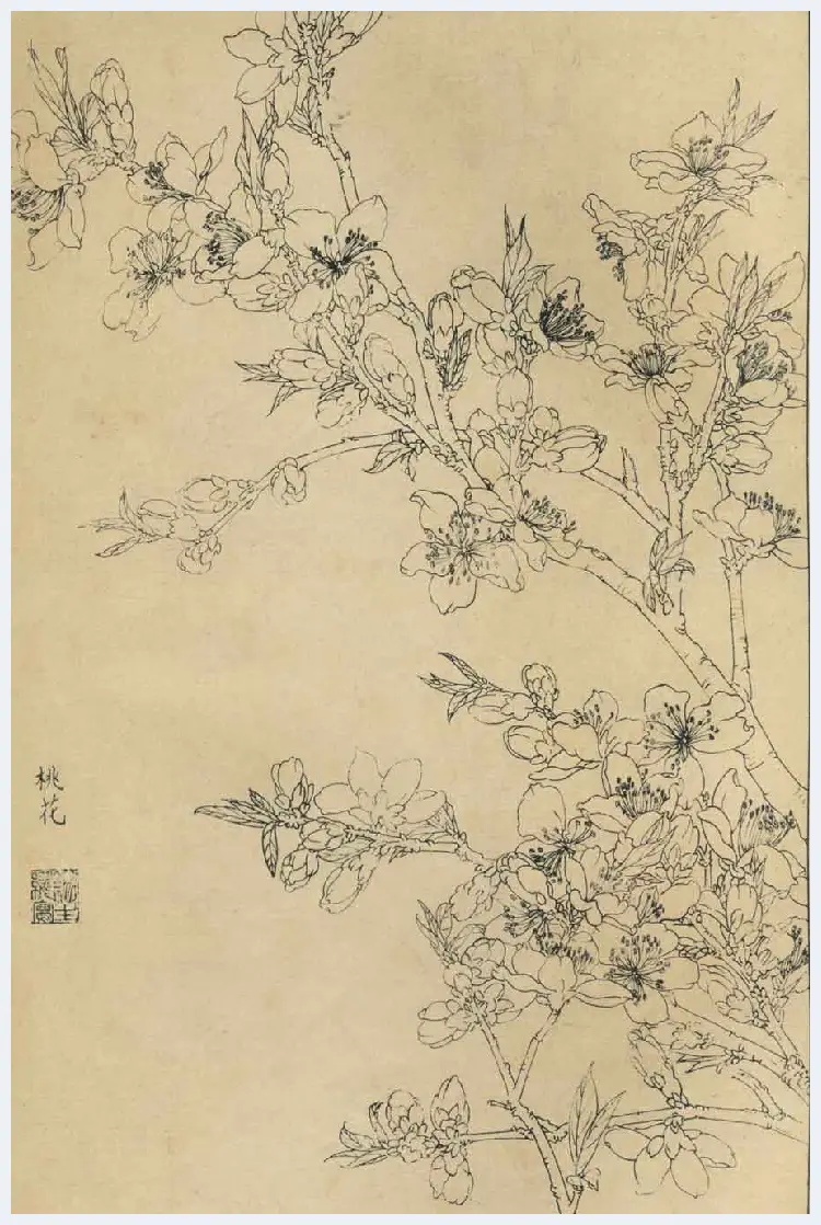 百花图谱大全【白描画】 | 书画资料