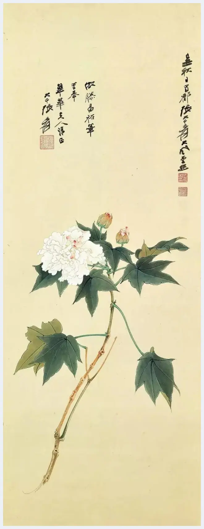 谢稚柳等名家笔下芙蓉花开 | 书画文摘