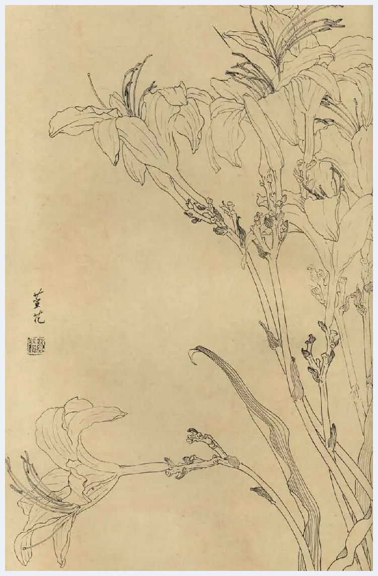 百花图谱大全【白描画】 | 书画资料