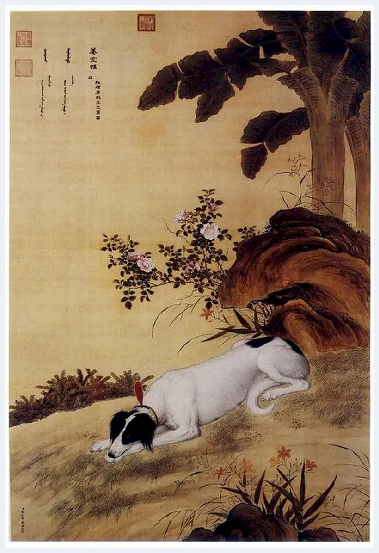 郎世宁画笔下的中国猎犬 | 书画知识