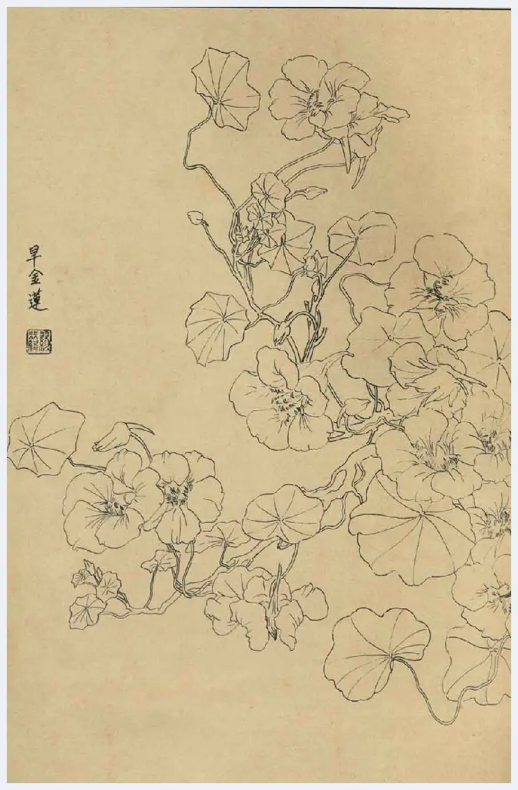 百花图谱大全【白描画】 | 书画资料