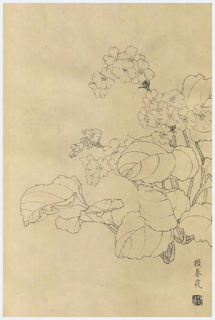 百花图谱大全【白描画】 | 书画资料