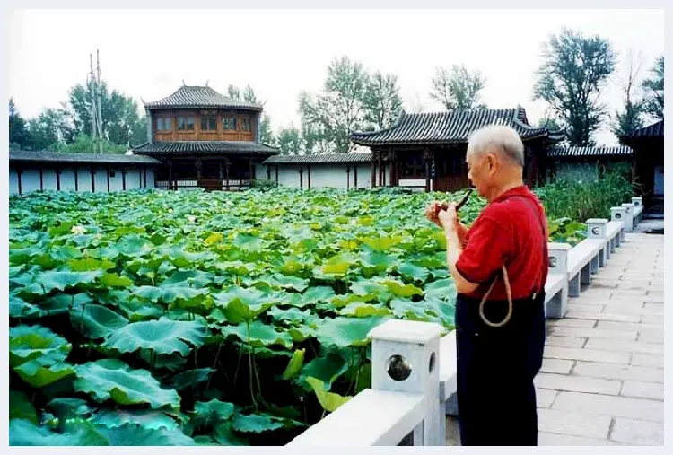 黄永玉重彩荷花《晨颜》，写意荷花精品 | 国画图片